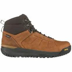 Oboz Men's Andesite Mid Insulated B-DRY Footwear